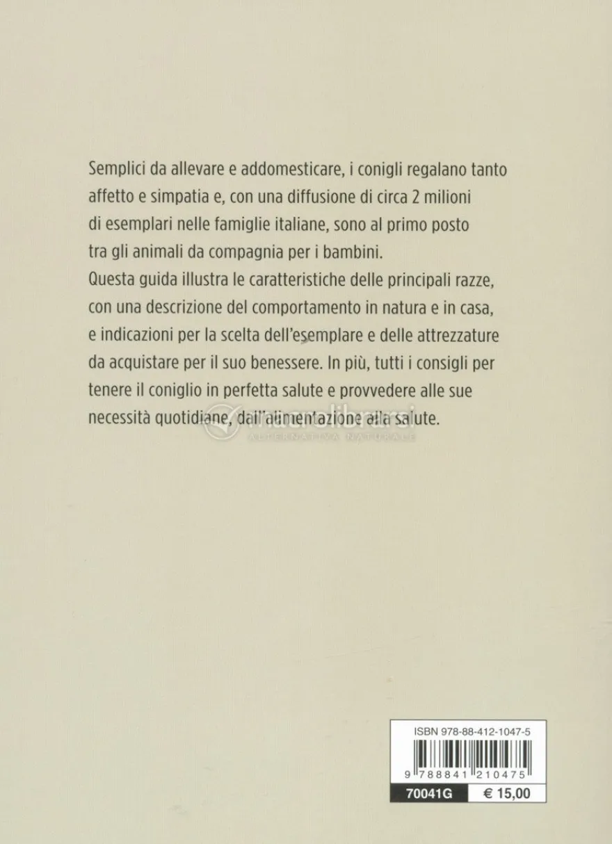 Coniglio Nano