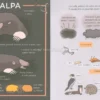 Conoscere e Proteggere la Piccola Fauna Urbana