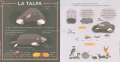Conoscere e Proteggere la Piccola Fauna Urbana