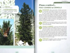 Conoscere gli Alberi e gli Arbusti d'Italia