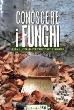 Conoscere i Funghi