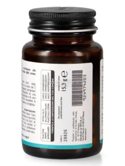 Coq10+ Carnitina