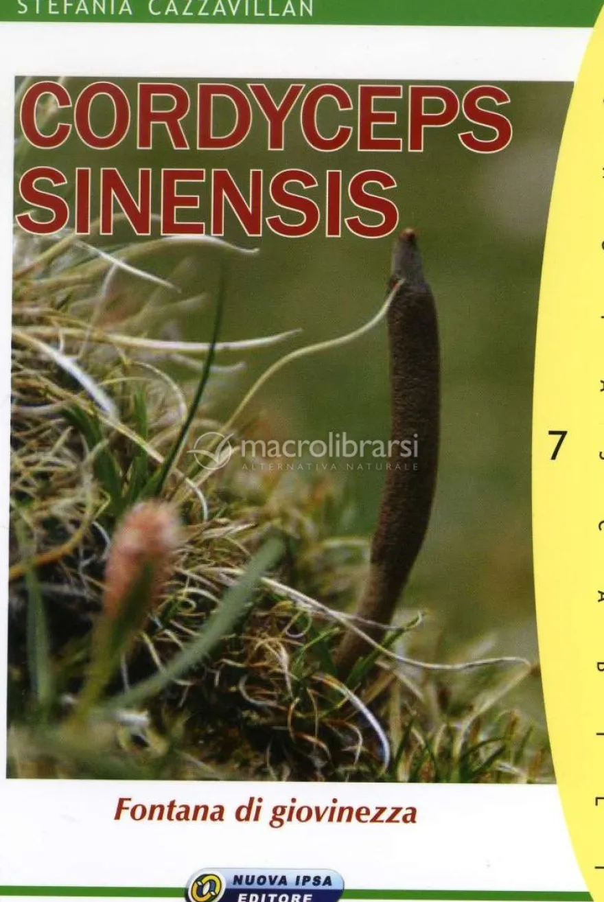 Cordyceps Sinensis