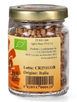 Coriandolo in Grani