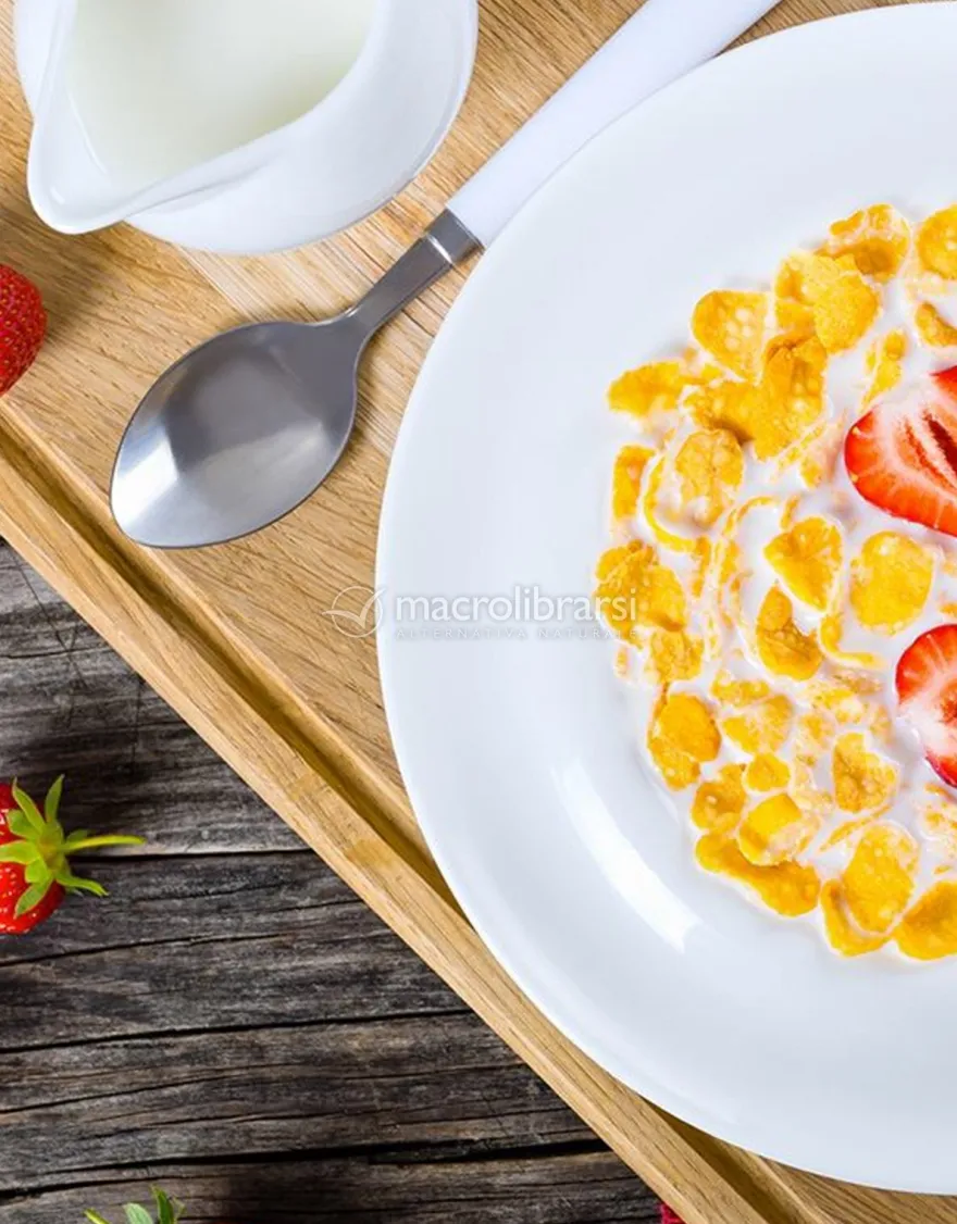Corn Flakes Bio