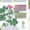 Corso Pratico di Erboristeria