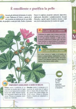 Corso Pratico di Erboristeria