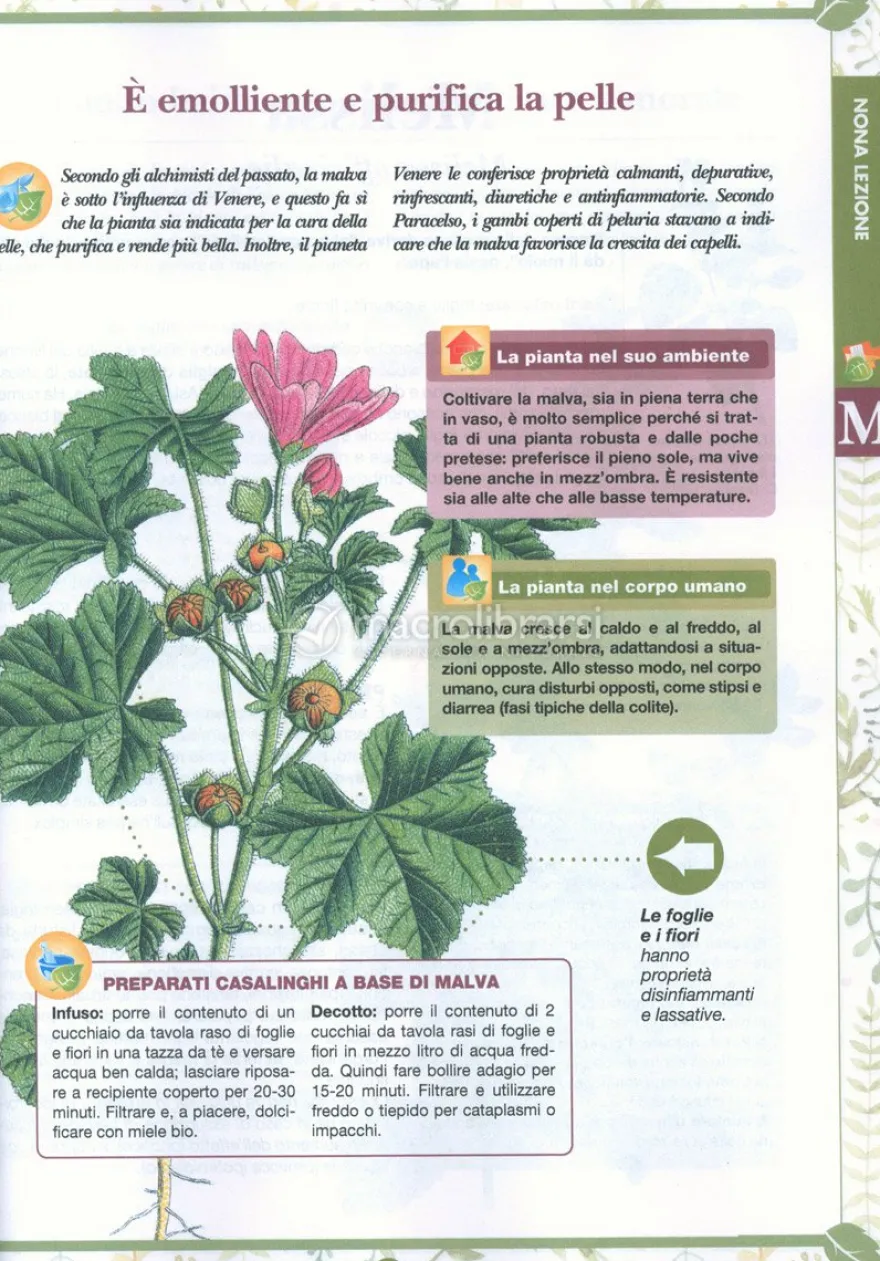 Corso Pratico di Erboristeria
