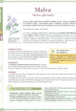 Corso Pratico di Erboristeria