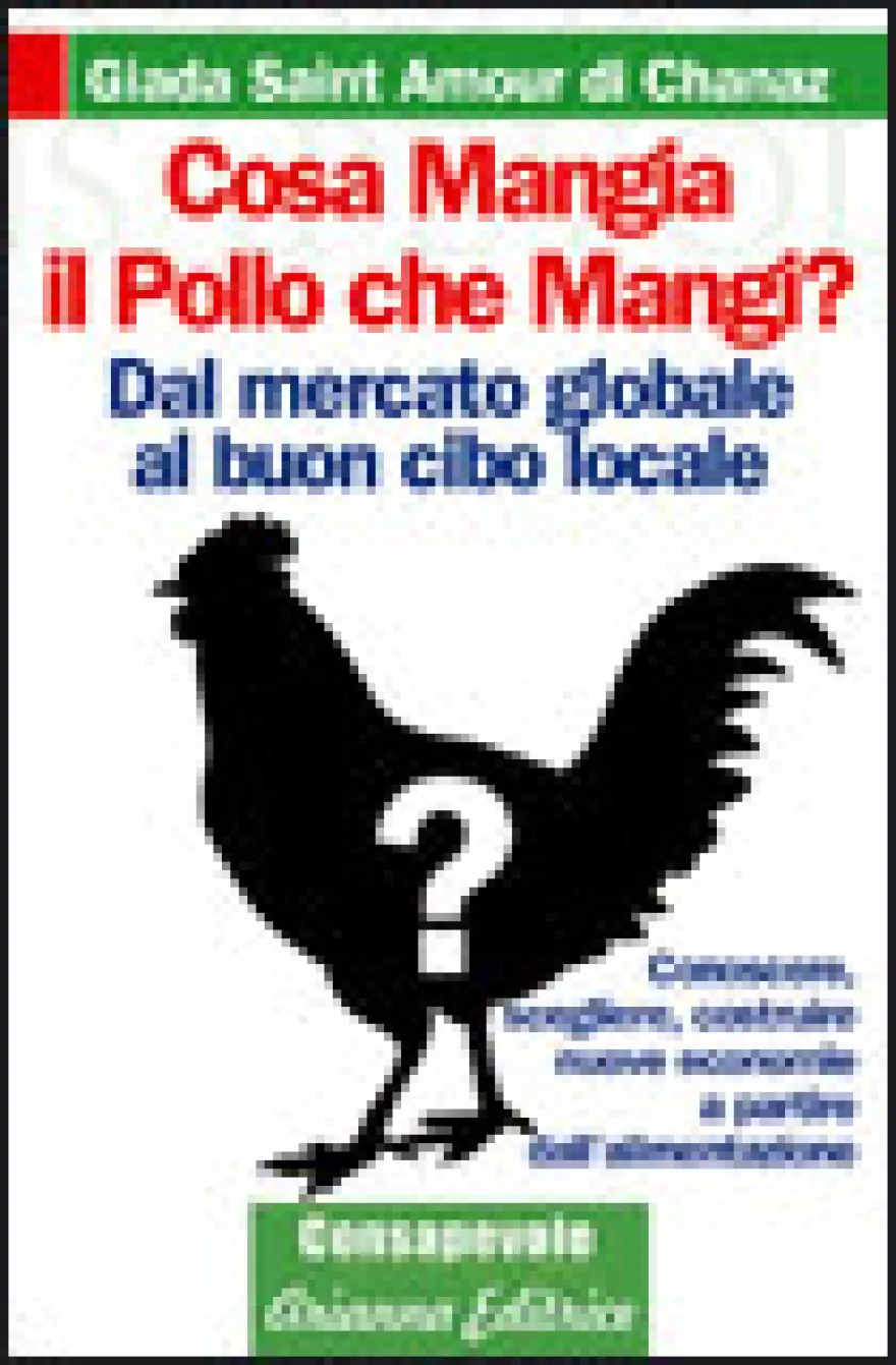 Cosa Mangia il Pollo che Mangi
