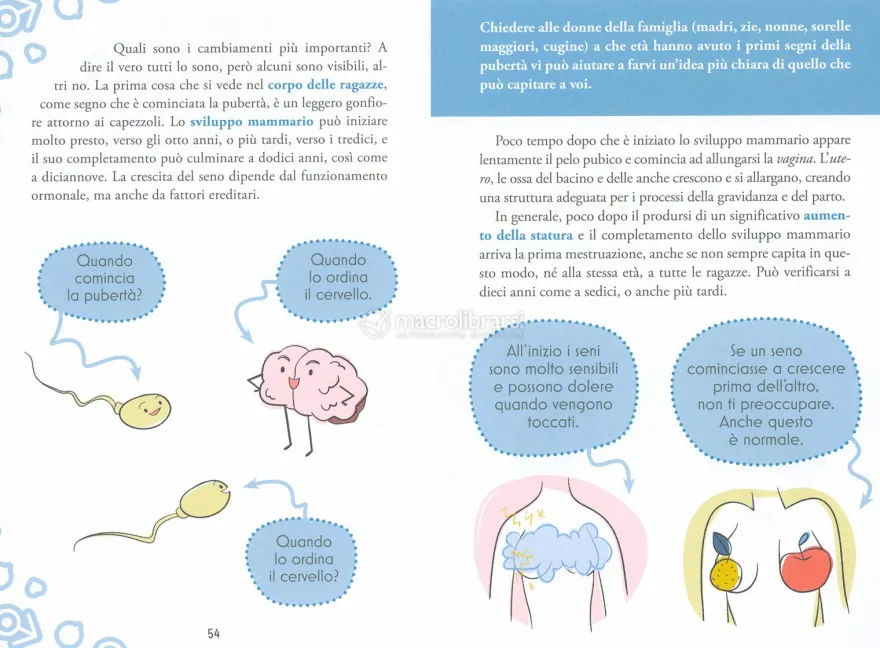 Cosa Succede nella Pubertà?