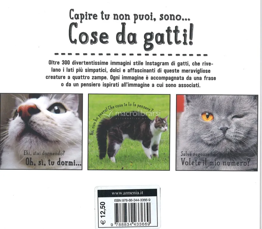Cose da Gatti