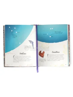 Costellazioni