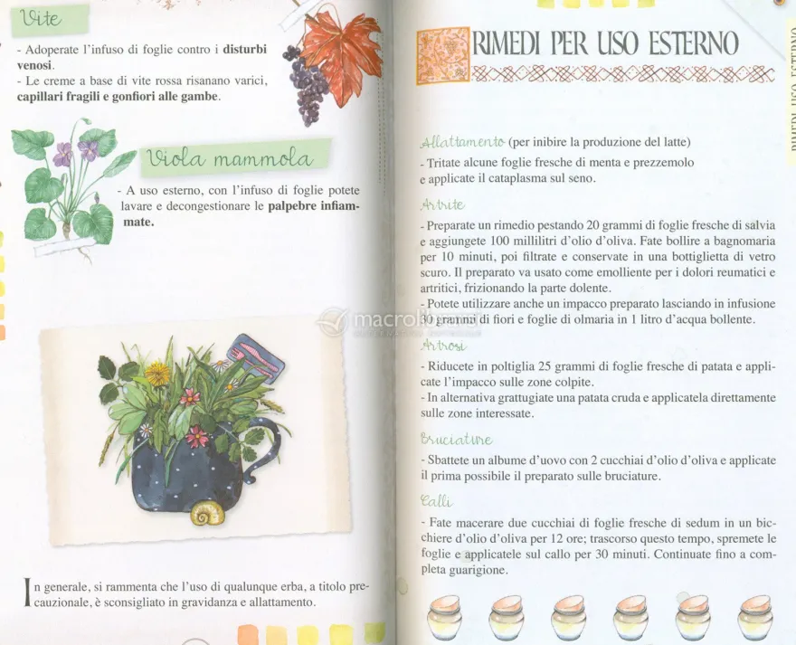 Creme, Pomate, Unguenti e Rimedi Naturali