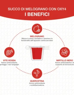 Cuore di Melograno con OXY4 - 1 litro