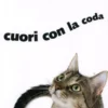 Cuori con la Coda