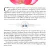 Curare la Tiroide con l'Ayurveda