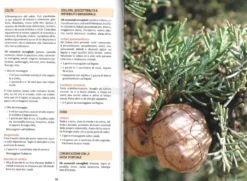 Curarsi con gli Oli Essenziali e le Piante
