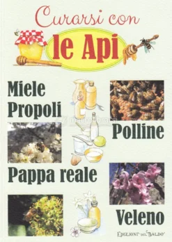 Curarsi con le Api