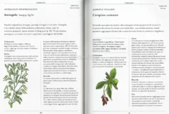 Curarsi con le Piante