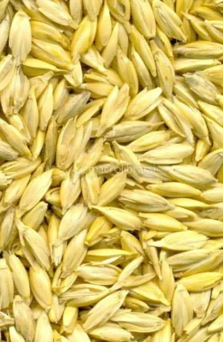 Cuscino Letto in Pula di Farro