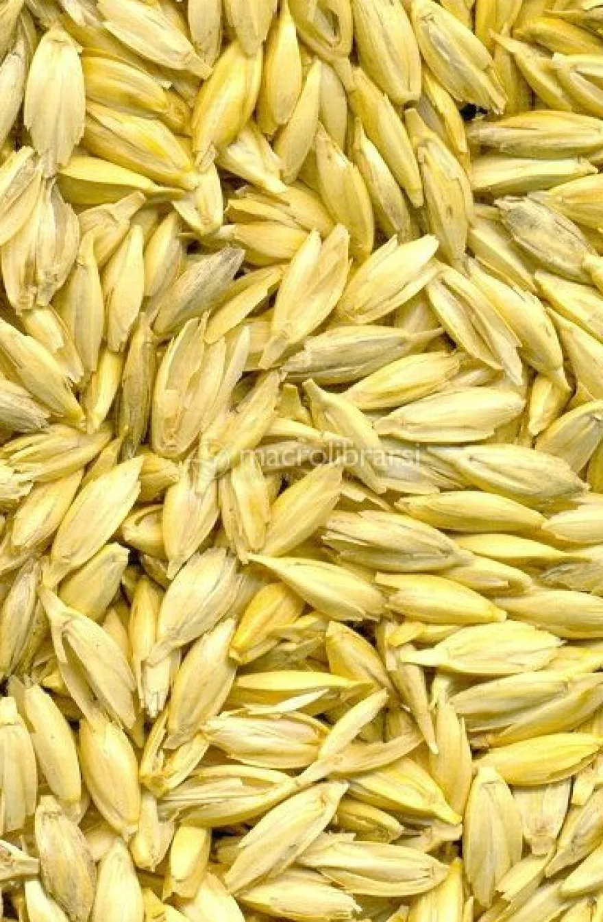 Cuscino Letto in Pula di Farro