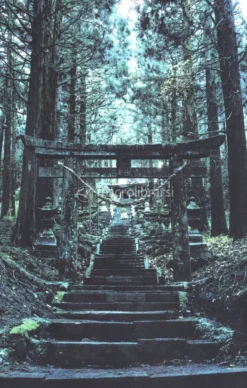 Daishizen