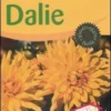 Dalie
