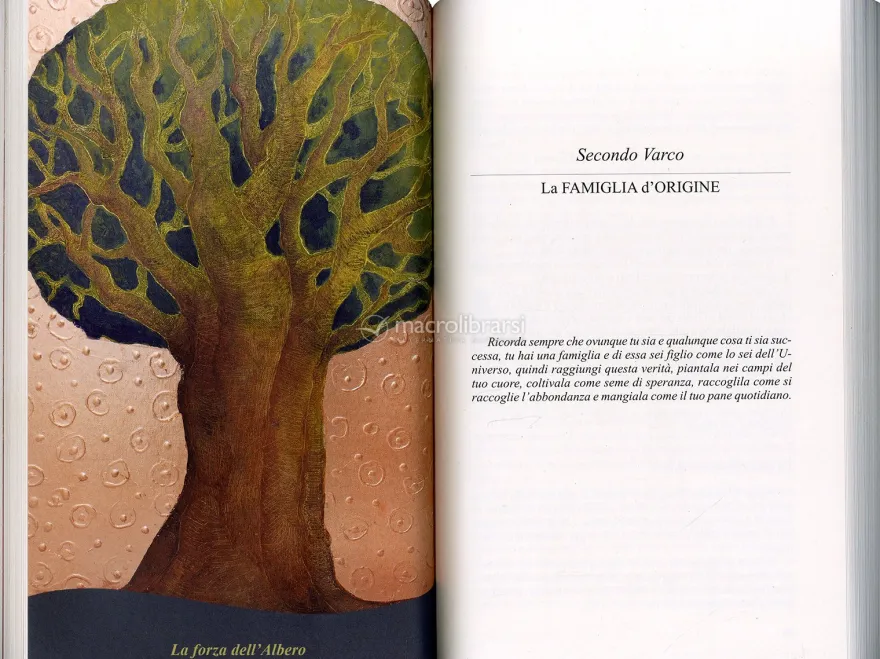 Dall'Abbandono all'Abbondanza