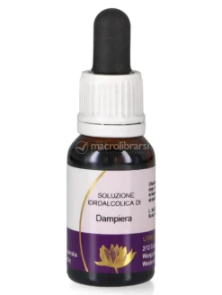 Dampiera - Fiori australiani