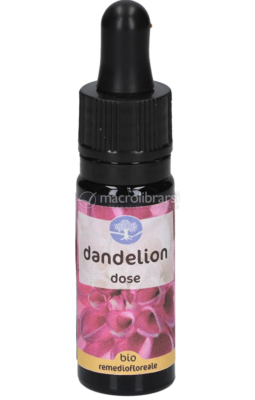 Dandelion - Fiori Californiani - Dose
