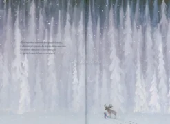 Da Qualche Parte nella Neve