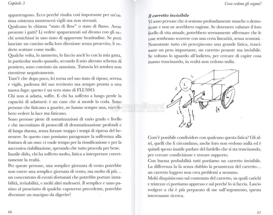 Davvero Vuoi Stare Bene?