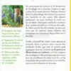 Dents et Gencives Saines