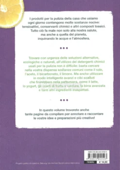 Detersivi Fatti in Casa