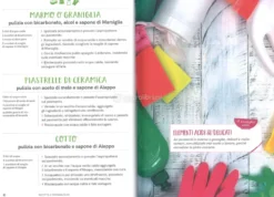 Detersivi Fatti in Casa