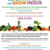 Detox completo con succhi freschi