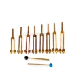 Diapason Chakra Set con Amplificatori