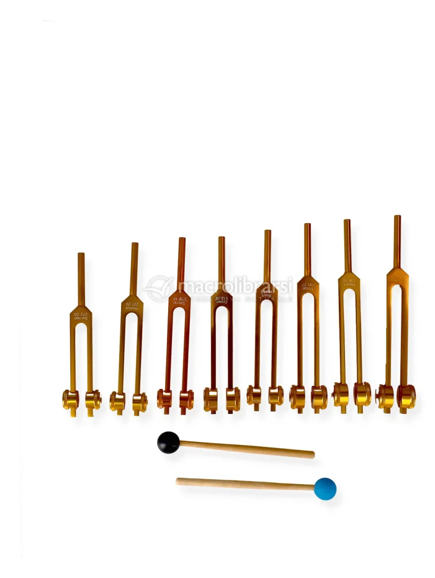 Diapason Chakra Set con Amplificatori