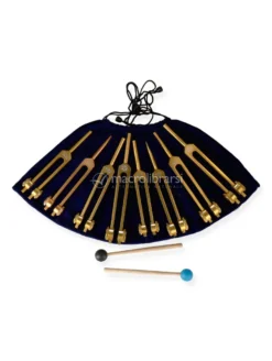 Diapason Chakra Set con Amplificatori