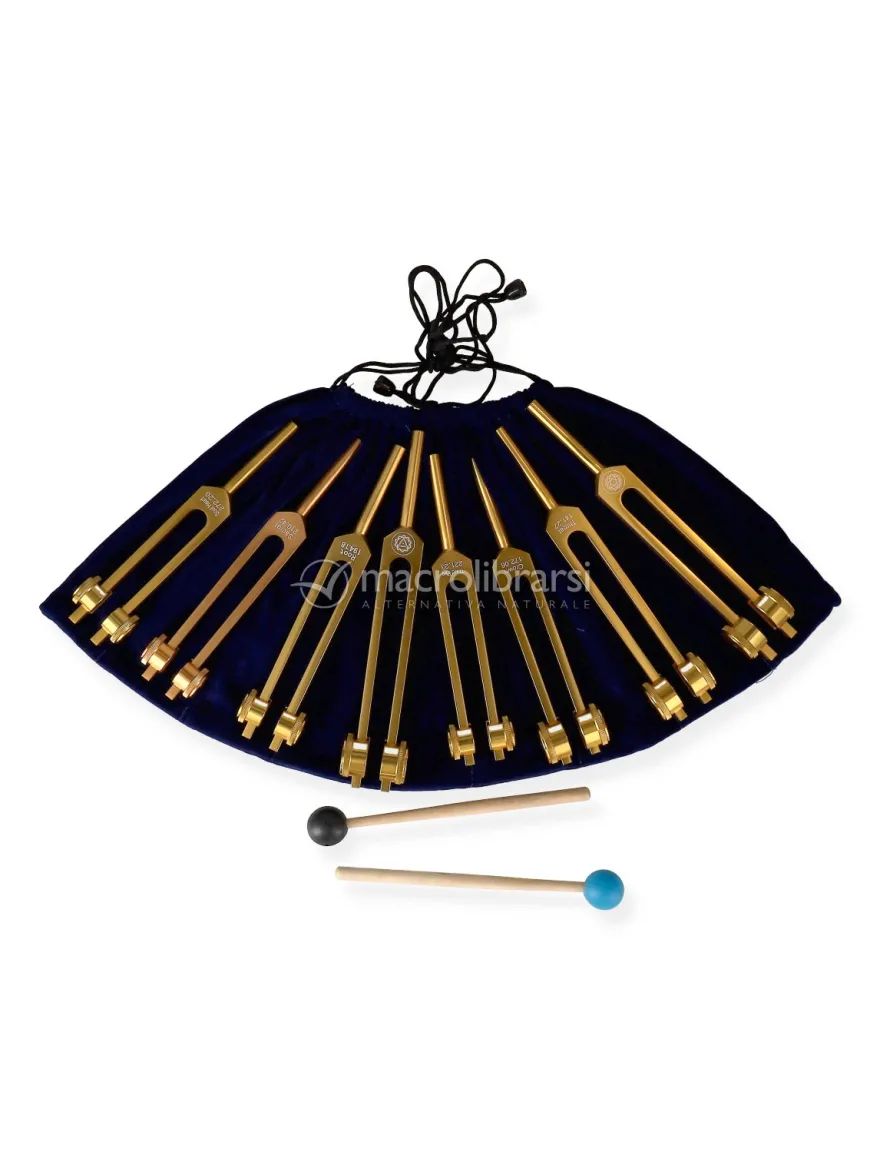 Diapason Chakra Set con Amplificatori