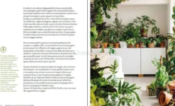 Diario di un Aspirante Pollice Verde