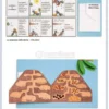 Didattica per Competenze con i Lapbook