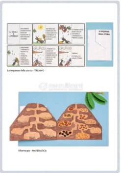 Didattica per Competenze con i Lapbook
