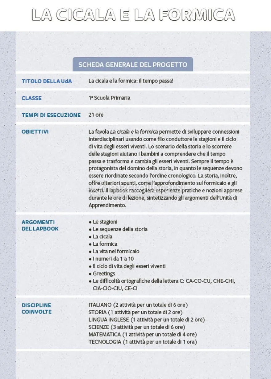 Didattica per Competenze con i Lapbook