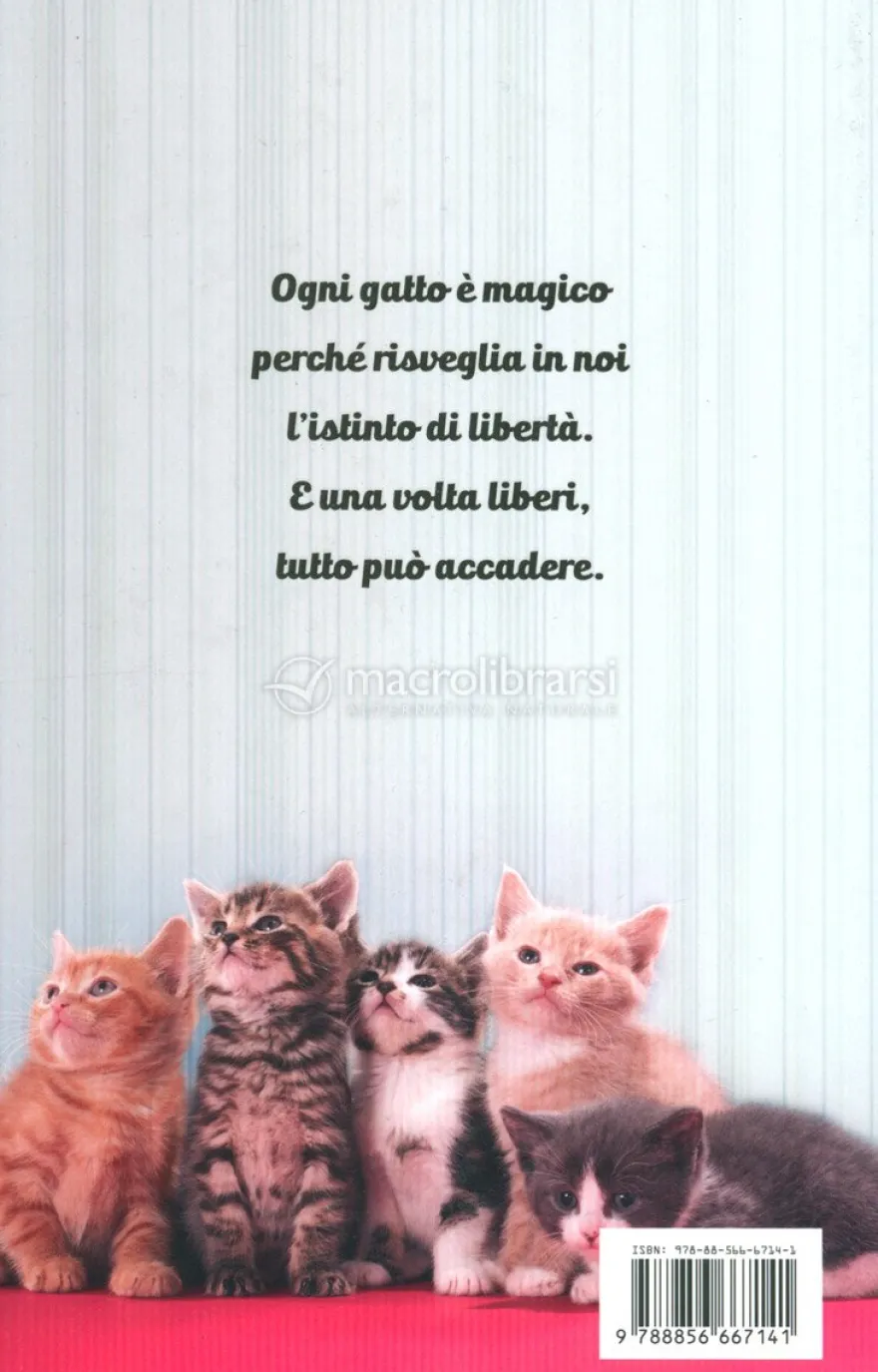 Dieci Piccoli Gatti