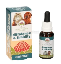 Diffidence & Timidity Animal