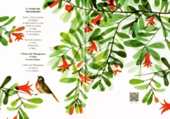 Di Fiore in Frutto