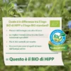 Dinosauri ai Cereali Antichi Bio