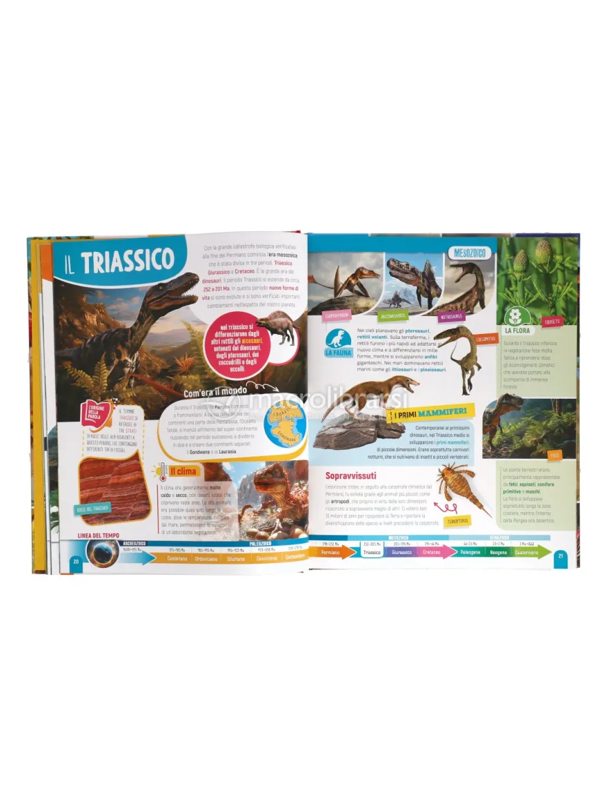 300 Dinosauri e Animali Preistorici